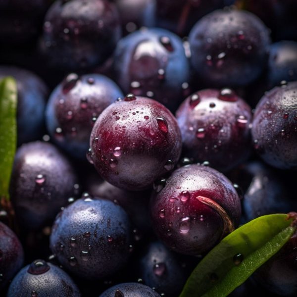brasil-da-fruta.jpg